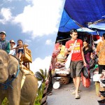 hi-elephant-camp-sightseeing